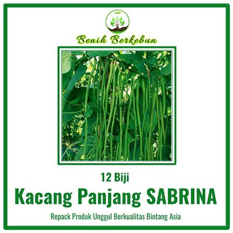 Jual 12 Benih Kacang Panjang SABRINA Garuda Seed Shopee Indonesia