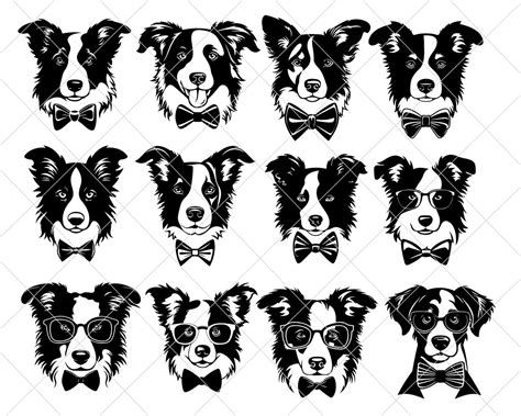 Dapper Border Collies Svg Png  Dxf Eps Pdf Clipart Dog Top Hat