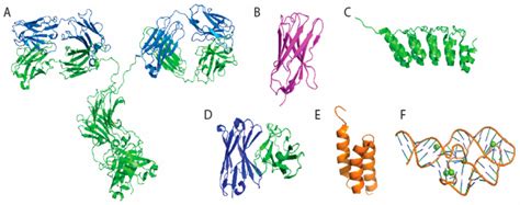 Ab Immobilization Scheme A Edc Nhs Coupling Of Ab Surface Amine To