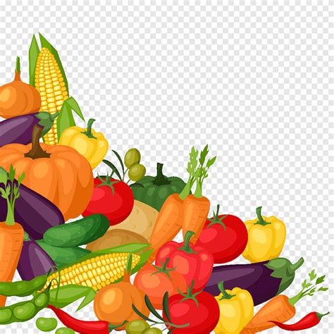 Organic Food Vegetable Tomato Illustration Cartoon Variety Of