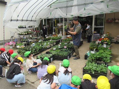 2年 野菜の苗を買いに行きました ｜ 横手北小学校