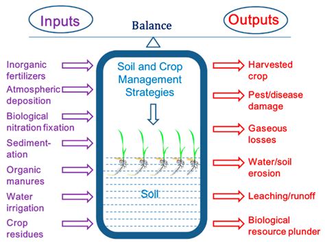 Sustainability Free Full Text Soil And Crop Management Strategies