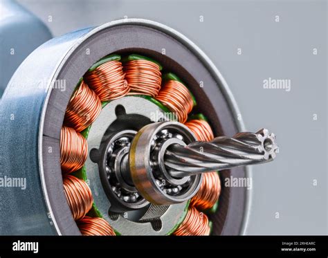 Electric Motor Rotor With Worm Gear Ball Bearing And Inductors On A