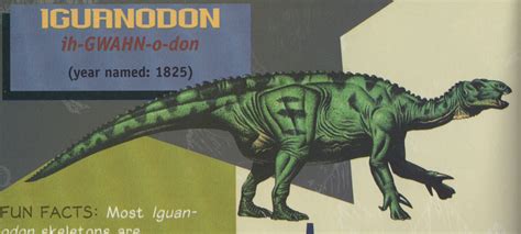 Iguanodon | Jurassic Park wiki | FANDOM powered by Wikia