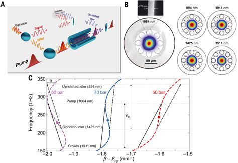 Tunable And State Preserving Frequency Conversion Of Single Photons In