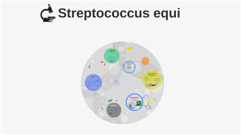 Streptococcus equi by cesar alvarez on Prezi