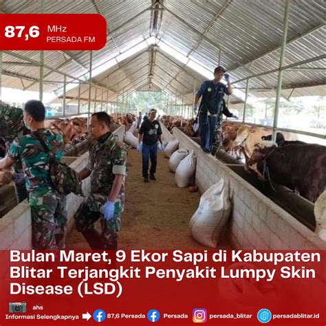 Bulan Maret Tercatat 9 Ekor Sapi Di Kabupaten Blitar Terjangkit