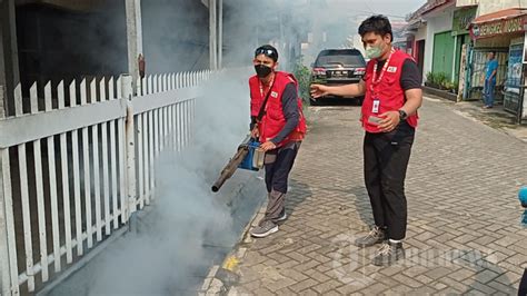 Pengasapan Cegah DBD Di Kota Tangerang Foto 1 1926876 TribunNews