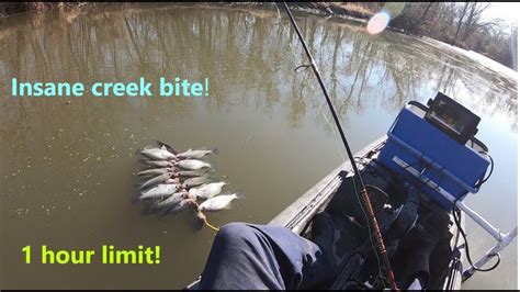 Hour Of Winter Creek Crappie Catching In A Kayak Hour Limit