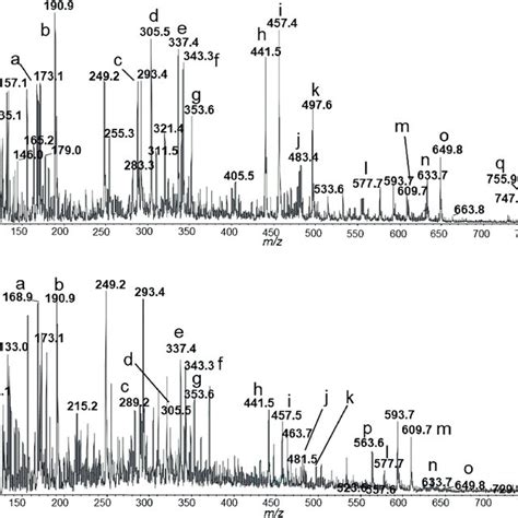 Comparison Of H Nmr Profiles Of Green Tea Extract Gte Top Trace