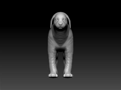 Stl File Dog 🐕 ・3d Printable Model To Download・cults