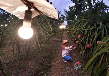 Kominfo Elektrifikasi Pertanian Tingkatkan Cuan Petani