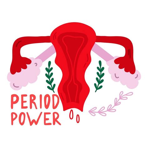 Vector Illustration Of Female Reproductive System Female Menstrual