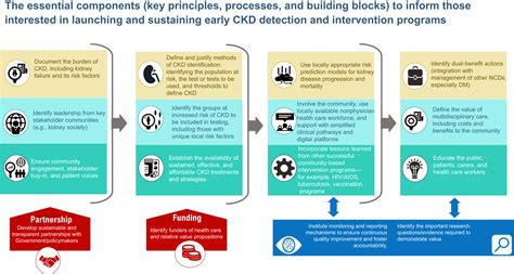 Perspectives On Early Detection Of Chronic Kidney Disease The Facts