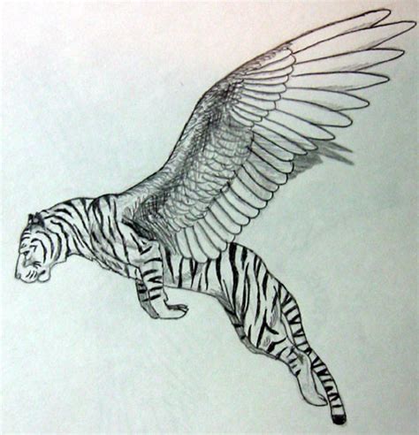 Hawk Wings Drawing at GetDrawings | Free download