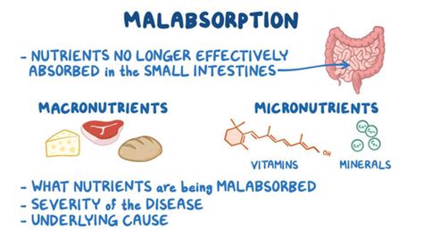 Malabsorption Flashcards | Quizlet