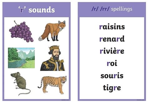 French Pronunciation Twinkl