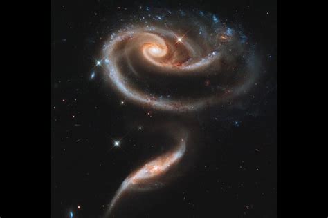 Nasa Shares An Image Of A Cosmic Rose Heres What It Is Technology