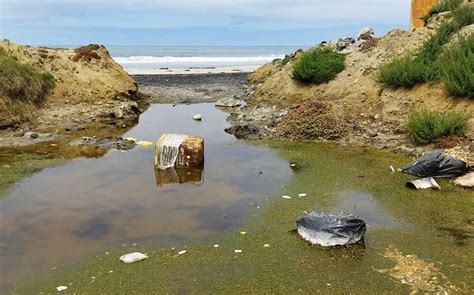 Arriba Imagen Contaminaci N De Playas En M Xico Viaterra Mx