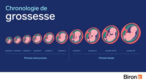 Test Harmony Et Test Verifi D Pistage Pr Natal Non Invasif Par Adn Foetal