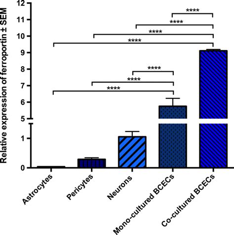 The Relative Gene Expression Of Ferroportin MRNA Fpn In Primary Rat