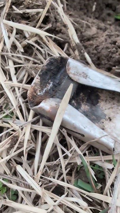 Old Sterling Silver Belt Buckle Found Metal Detecting Long Island Youtube