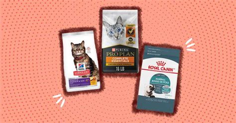 7 Best Dry Cat Food Options, According To A Vet - DodoWell - The Dodo