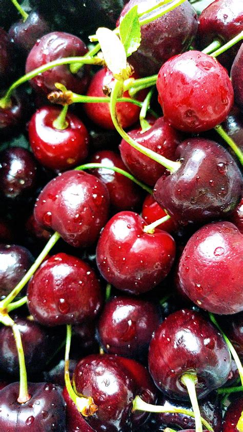 Cherries Cherry Dark Red Fruit Red Hd Phone Wallpaper Peakpx