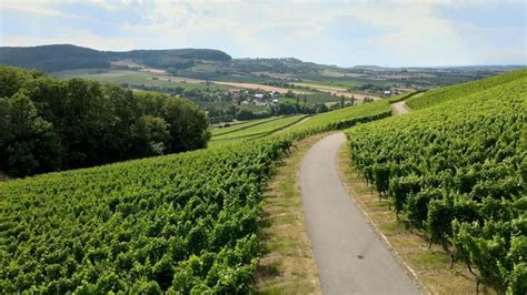 keltern imagens procure  fotos vetores   adobe stock