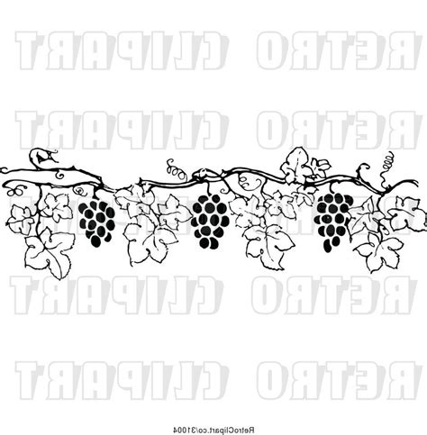 Grape Vine Border Vector at Vectorified.com | Collection of Grape Vine ...