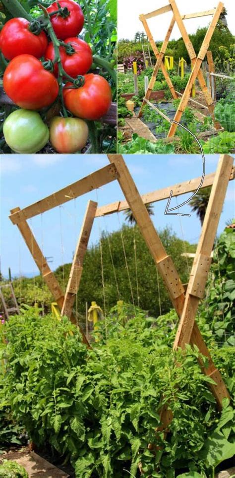 15 Best Ideas For DIY Garden Trellis