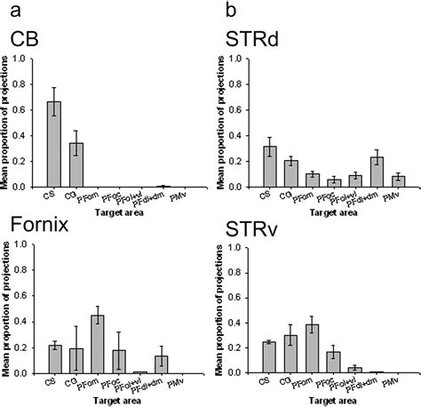 Quantitative Investigation Of Connections Of The Prefrontal Cortex In