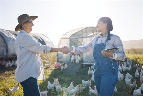 Premium Photo Chickens Farm And Women With Handshake Sustainability