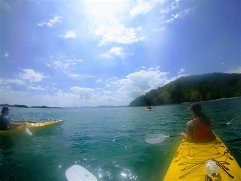 Bay of Islands Kayaking (Paihia) - 2019 All You Need to Know BEFORE You ...