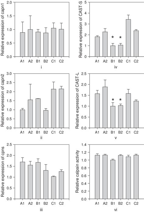 Real Time Rt Pcr Analysis Normalized Means T Sd Of I Capn1 Ii