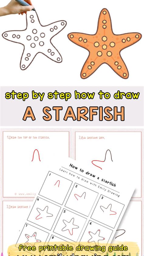 How To Draw A Starfish Step By Step Drawing Tutorials Artofit