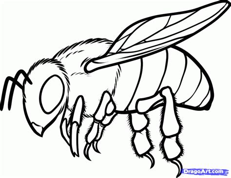 Bee Line Drawing - ClipArt Best