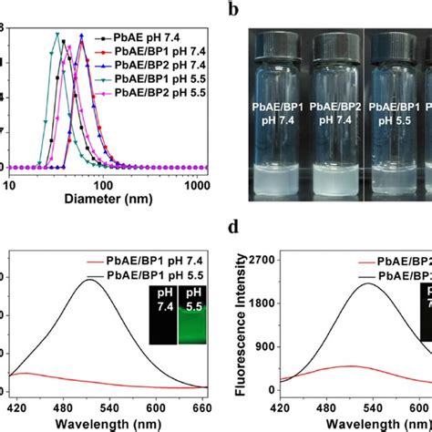 A Number Size Distributions Of Pbae Micelles And Bps Dispersed Pbae Download Scientific