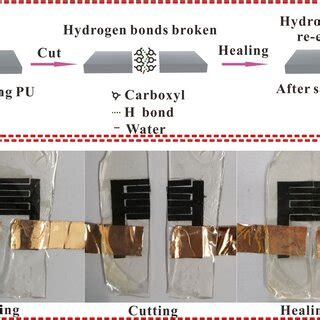 Schematic Illustration Of Selfhealing Mechanism A The Selfhealing