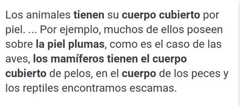 los mamíferos Tienen el cuerpo cubierto de plumas verdad o falso