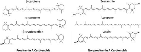 The Six Main Carotenoids And Their Structures Download Scientific