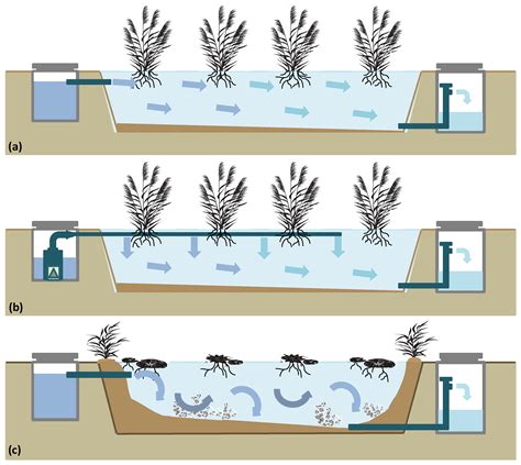 Diagram Of A Wetland Constructed Wetlands Components Mecha