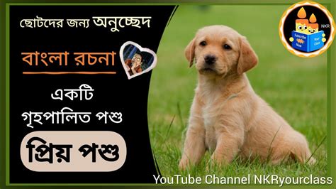 Bengali Essay On My Favourite Pet Dog বাংলা রচনা প্রিয় গৃহপালিত পশু