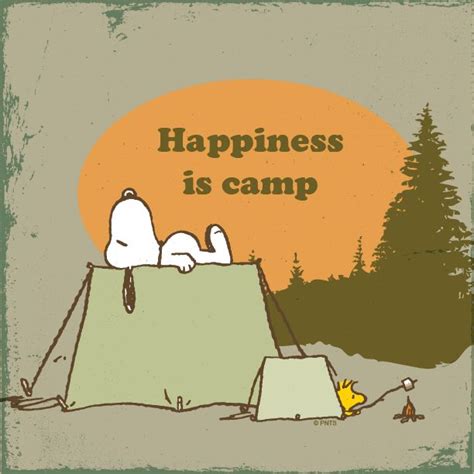 Snoopy And Woodstock Camping Comics And Cartoon Characters I Love