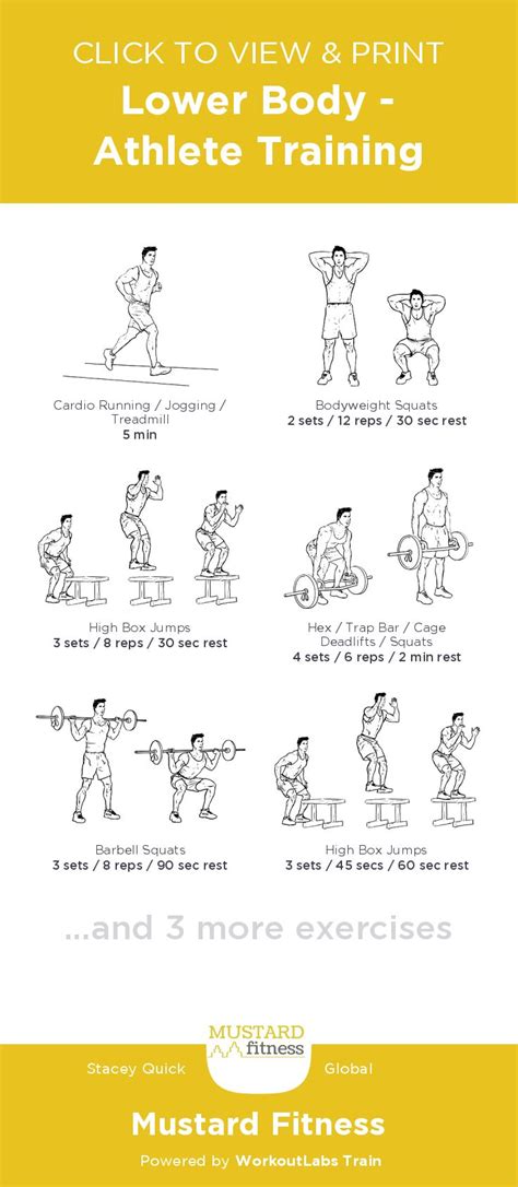 Lower Body Athlete Training Free Illustrated Workout By Stacey