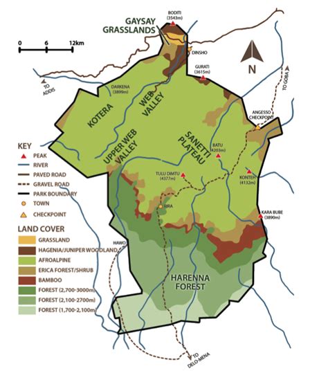 Birding | Bale Mountains National Park Ethiopia