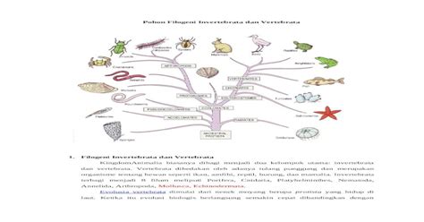 Pohon Filogeni Platyhelminthes Gambar 51 Koleksi Gambar