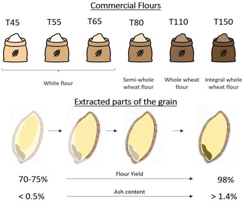 The Types Of Wheat Flour According To Ash Content Download