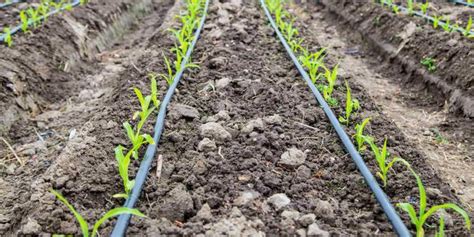 What Is Irrigation Types Methods And Importance Of Irrigation