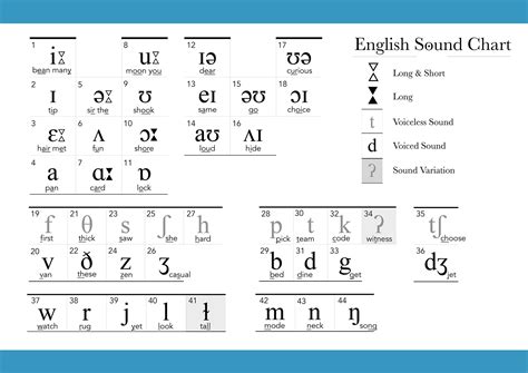 ipa-chart - Pronunciation Studio